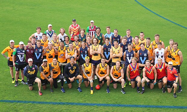 state of origin web 87.jpg